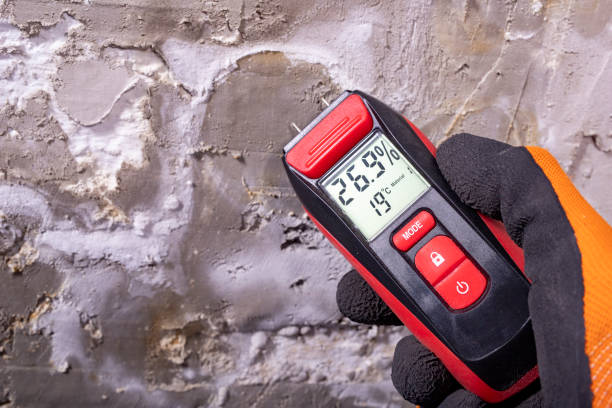 Best Crawl Space Mold Removal  in Ada, MN