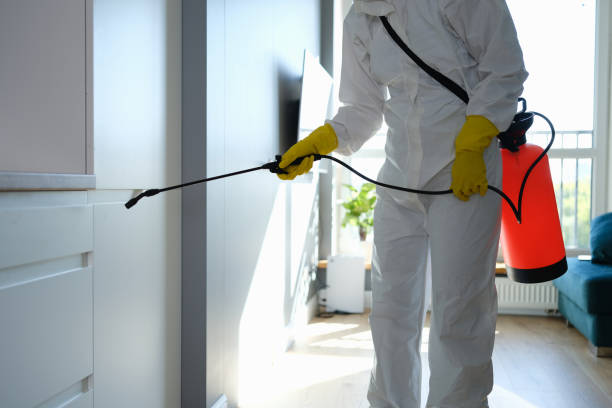 Best Attic Mold Removal  in Ada, MN